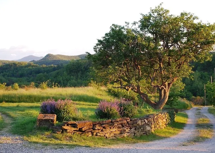 Domaine Bellelauze 3* Bouriège
